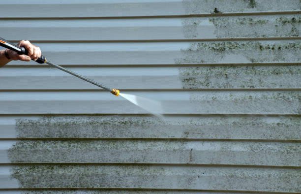 Best Driveway Pressure Washing  in Milton, DE